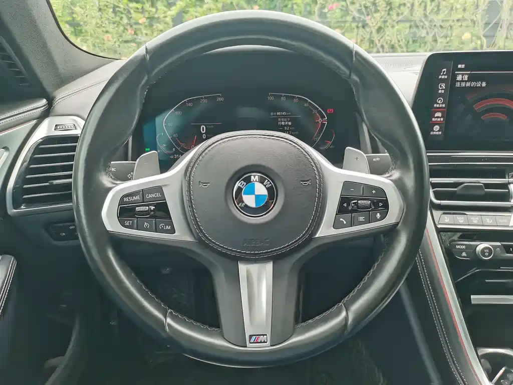BMW 8 Series — миниатюра 13
