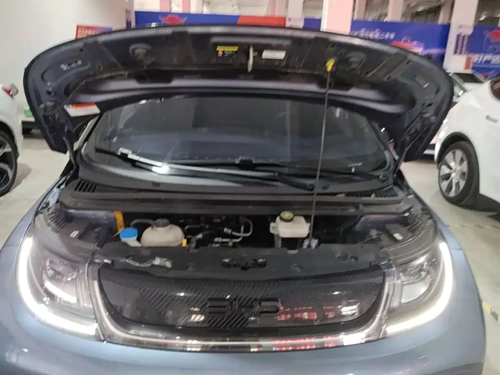 BYD Dolphin — миниатюра 16