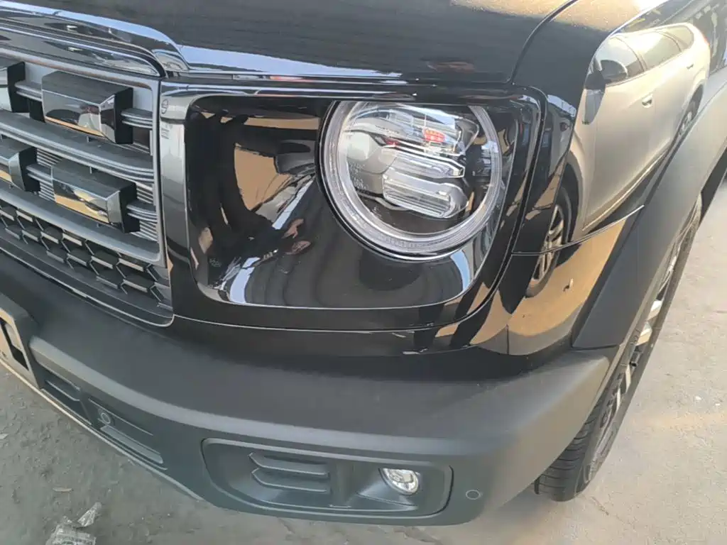 Haval Big Dog — миниатюра 24