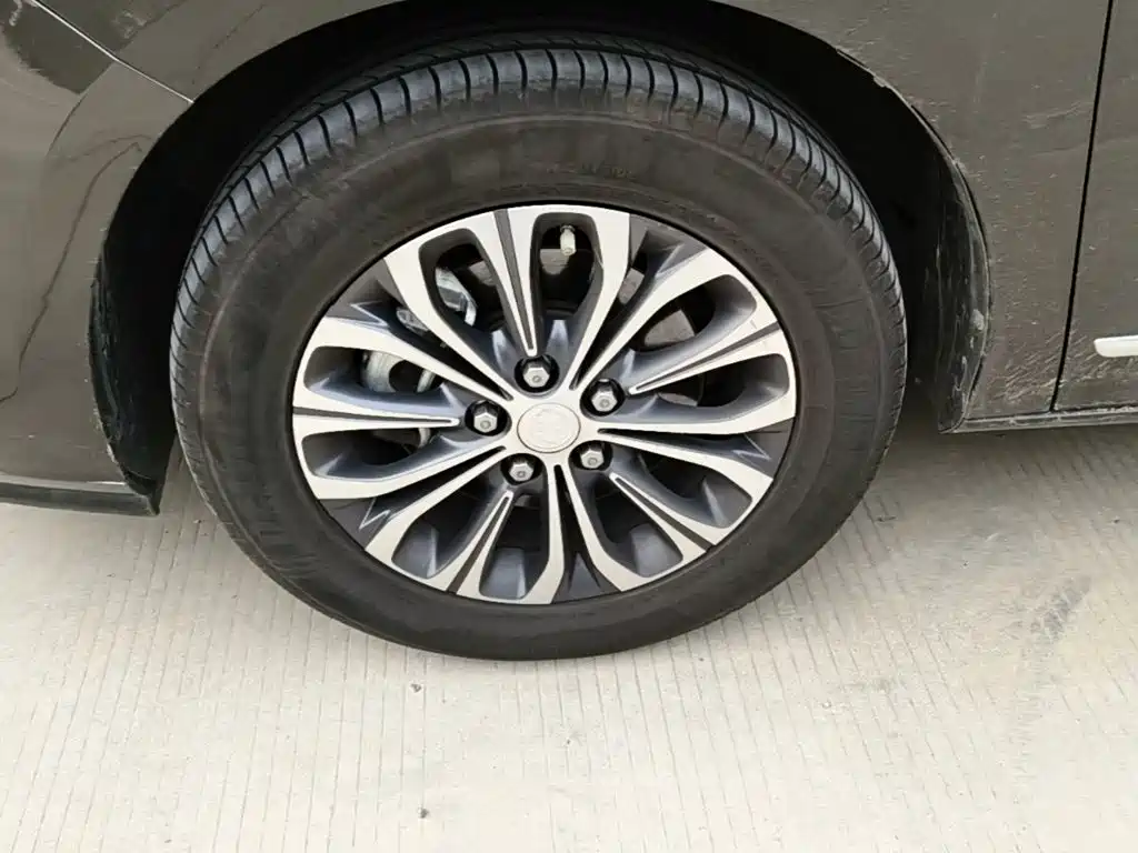 Buick GL8 — миниатюра 23