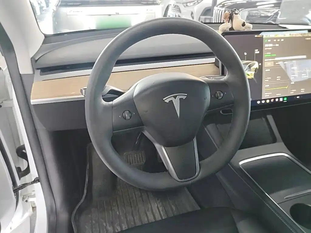 Tesla Model Y — миниатюра 11