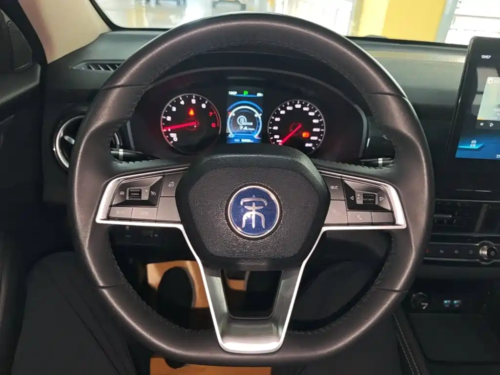 BYD Song — миниатюра 11