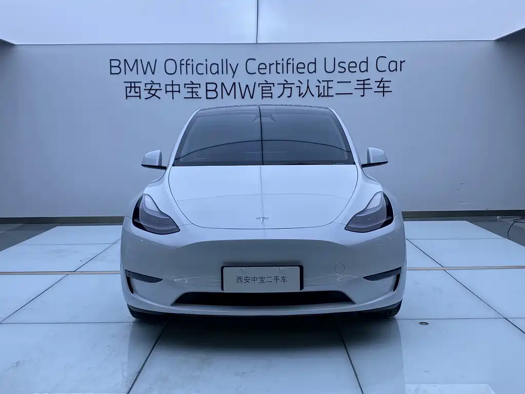 Tesla Model Y — миниатюра 2