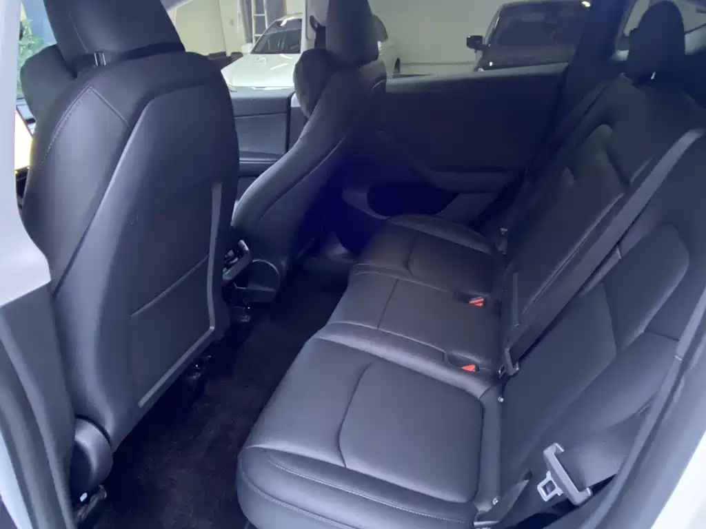Tesla Model Y — миниатюра 9