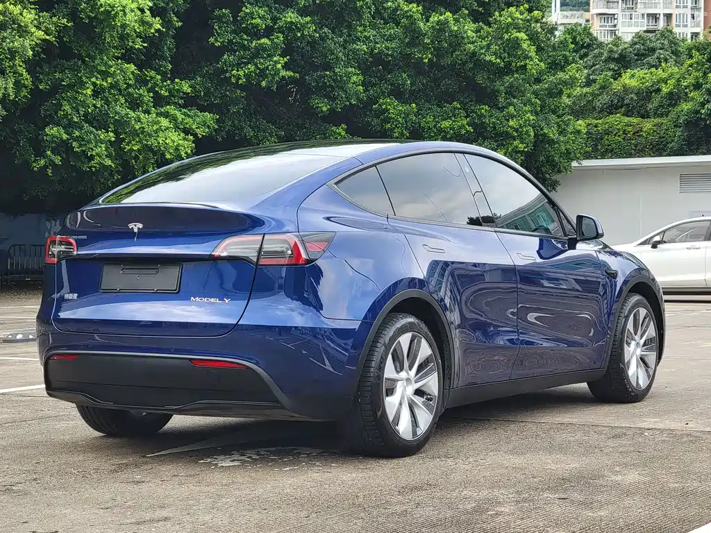 Tesla Model Y — миниатюра 14