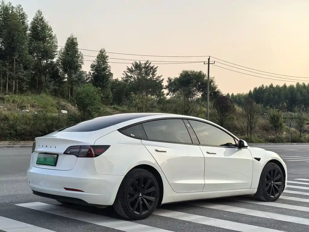 Tesla Model 3 — миниатюра 4