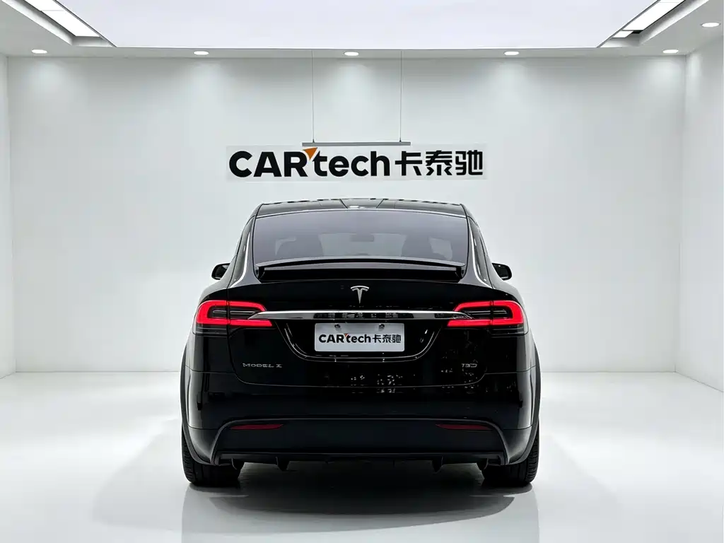 Tesla Model X — миниатюра 7