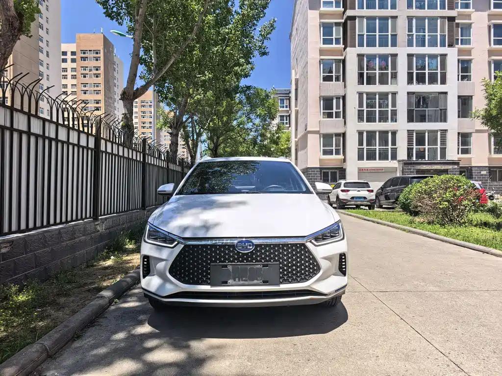 BYD E2 2021 Luxury