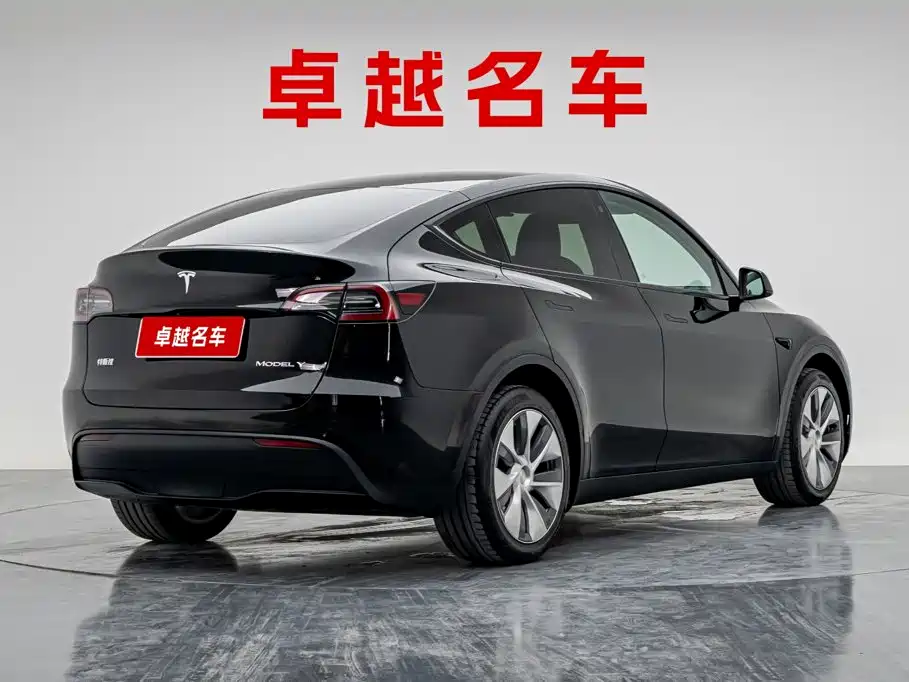 Tesla Model Y — миниатюра 6
