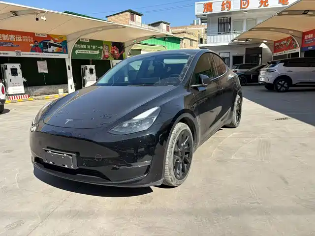 TESLA MODEL Y 2021