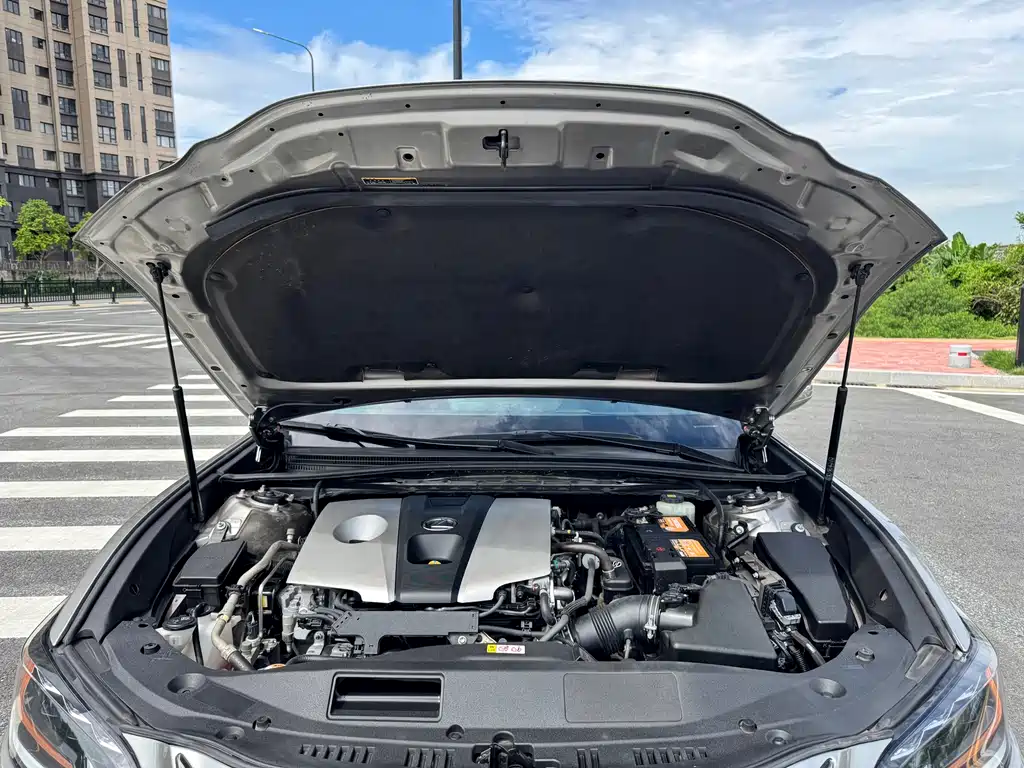 Lexus ES 2018 260 F SPORT V
