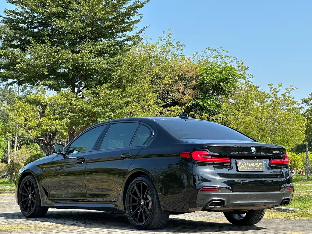 BMW 5 Series — миниатюра 4