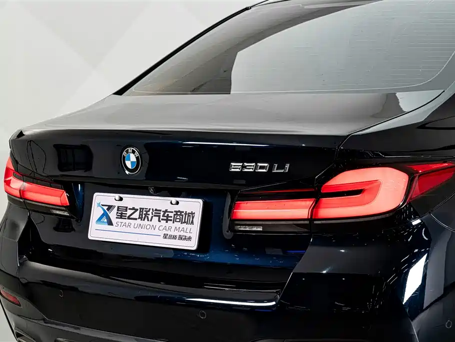 BMW 5 Series — миниатюра 8