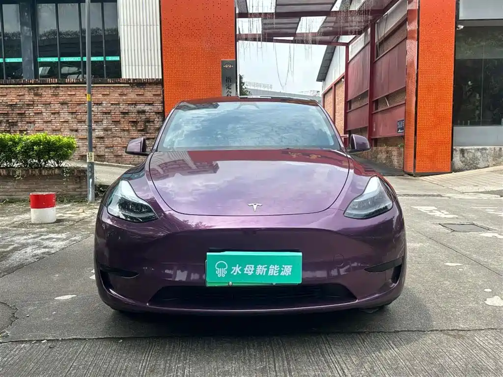 Tesla Model Y — миниатюра 2