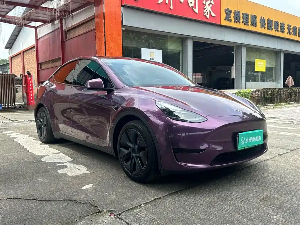 Tesla Model Y — миниатюра 12