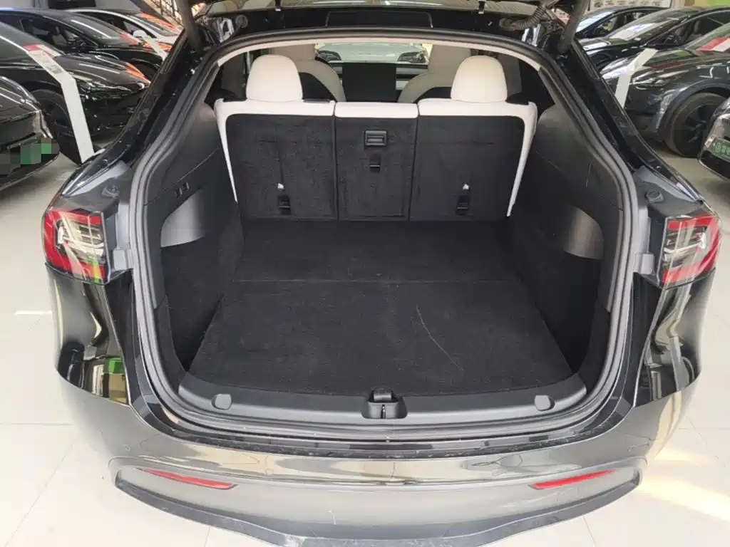 Tesla Model Y — миниатюра 19