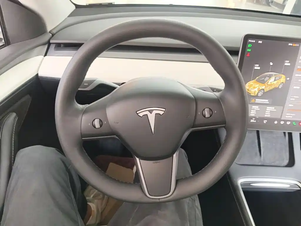 Tesla Model Y — миниатюра 11