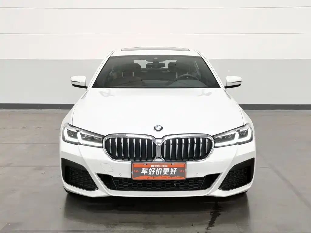 BMW 5 Series — миниатюра 3
