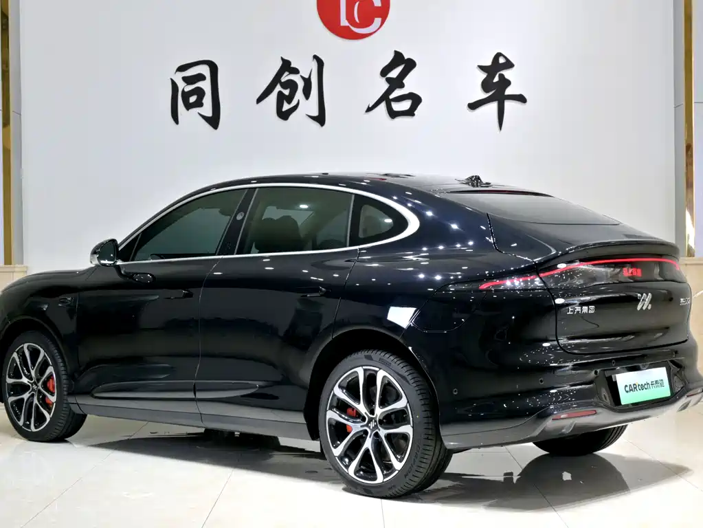 IM IM LS6 — миниатюра 4