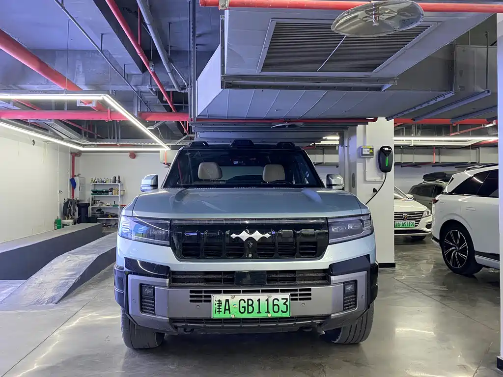 FANG CHENG BAO LEOPARD 8