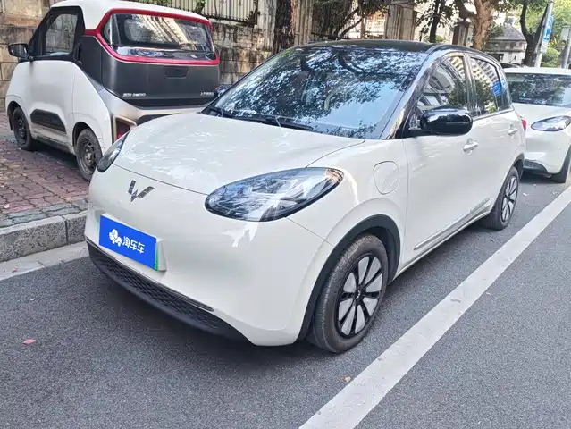 Wuling Bingo