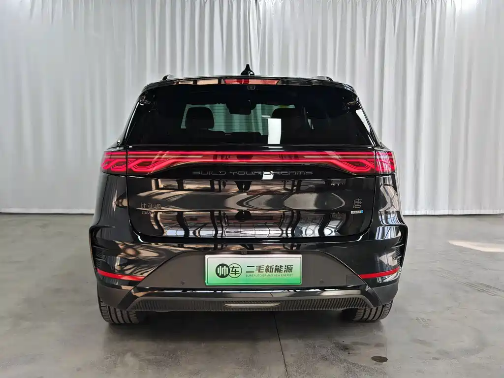 BYD Tang New Energy — миниатюра 5