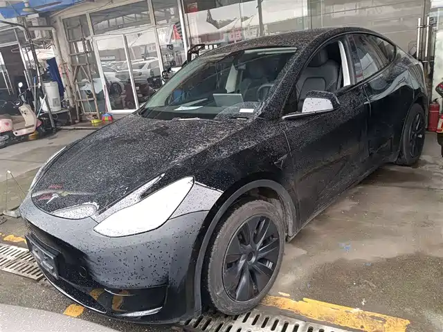 TESLA MODEL Y 2024