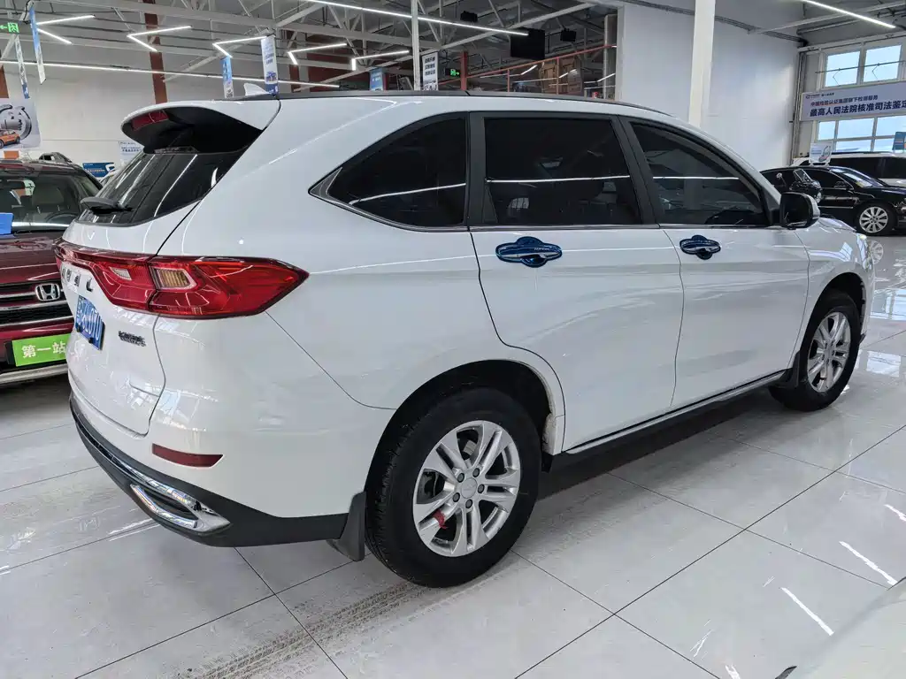 HAVAL M6