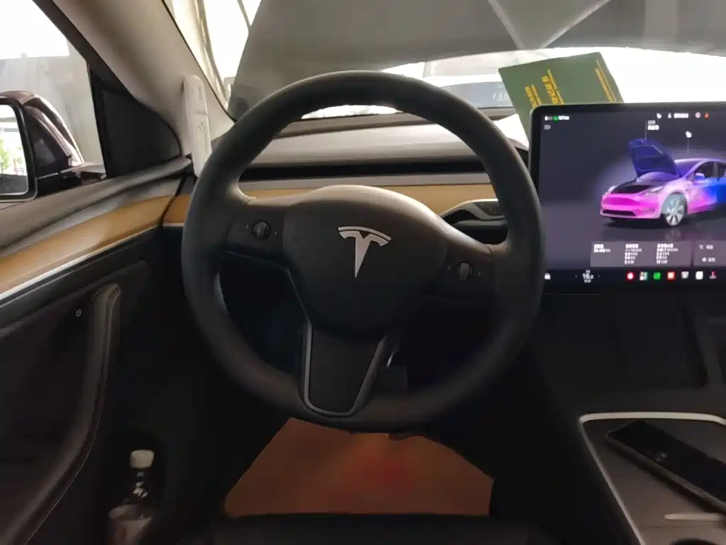 Tesla Model Y — миниатюра 11