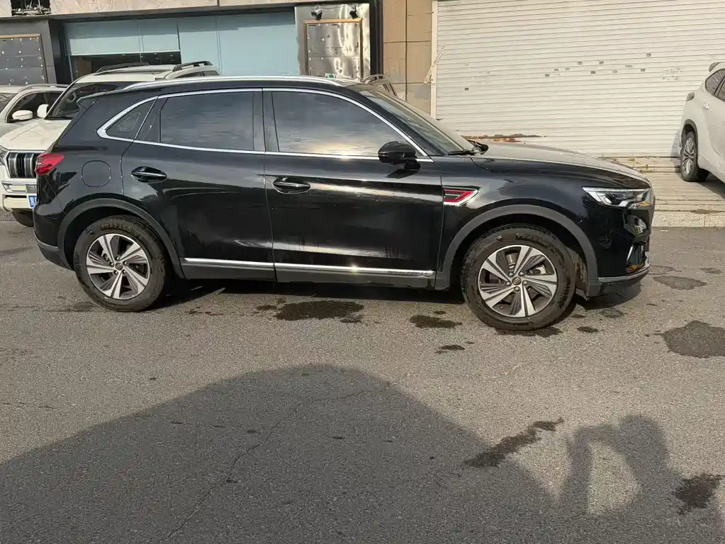 Hongqi Hongqi HS5 — миниатюра 7
