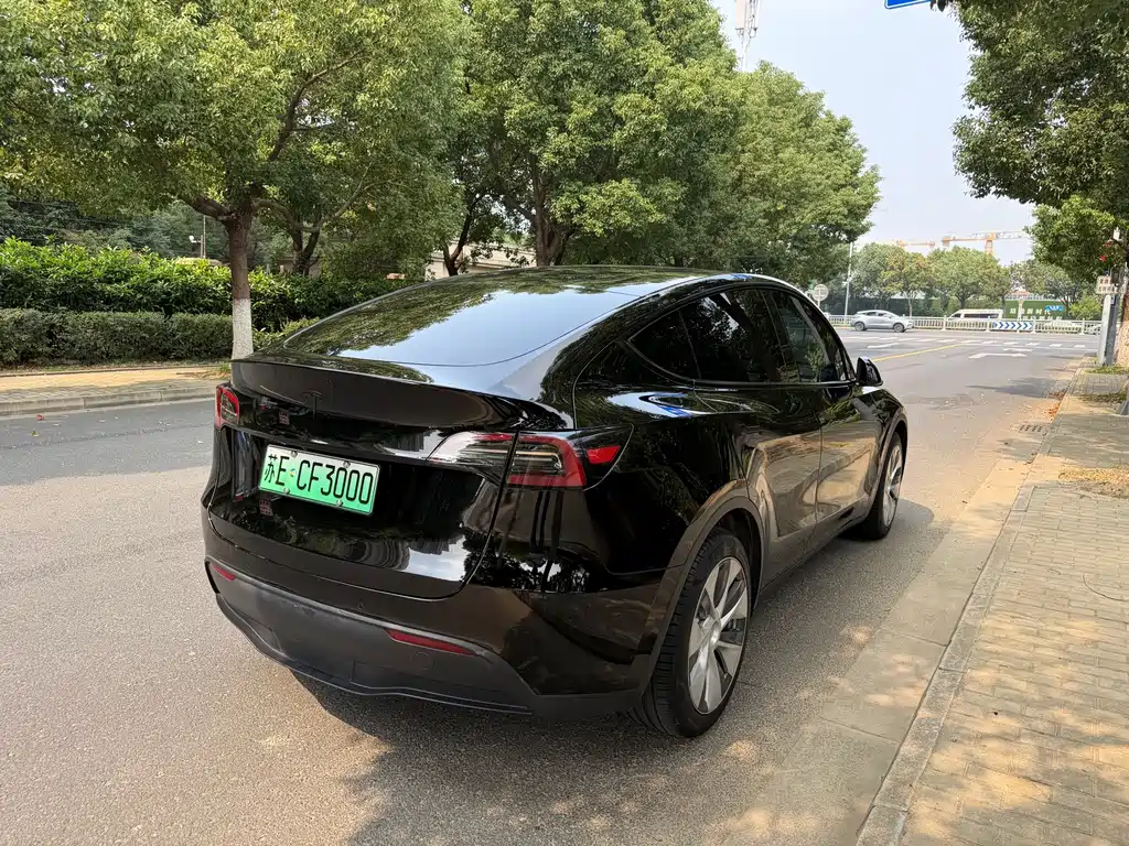 Tesla Model Y — миниатюра 19