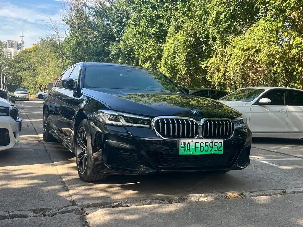 BMW 5 Series New Energy — миниатюра 2