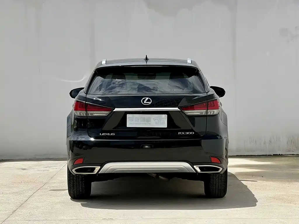 Lexus RX — миниатюра 12