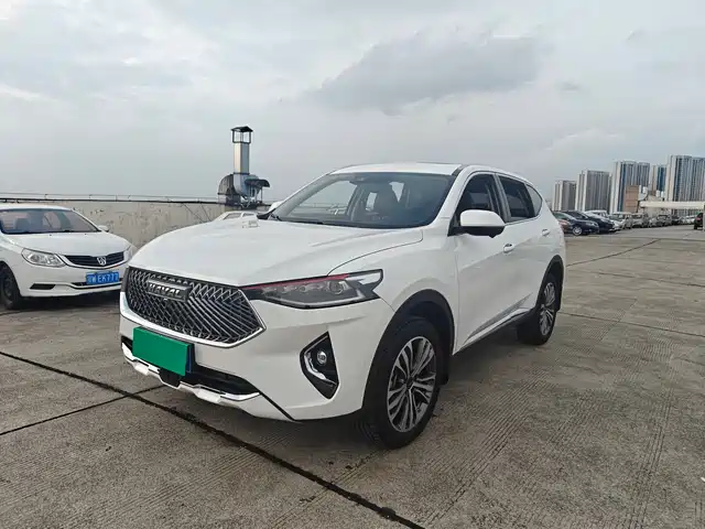 2021 Haval F7