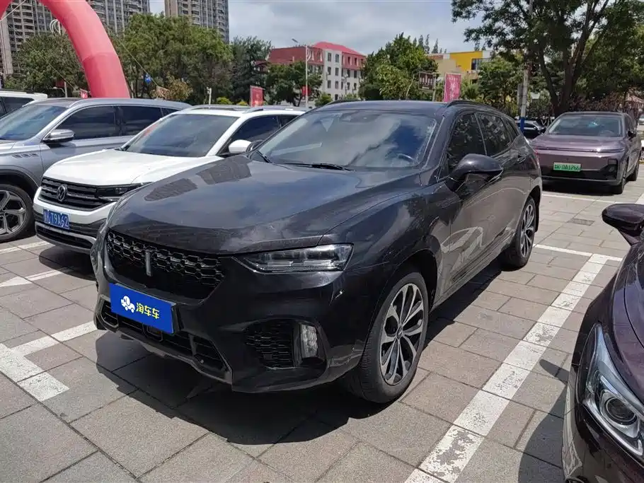 Купить Wey Wey VV7