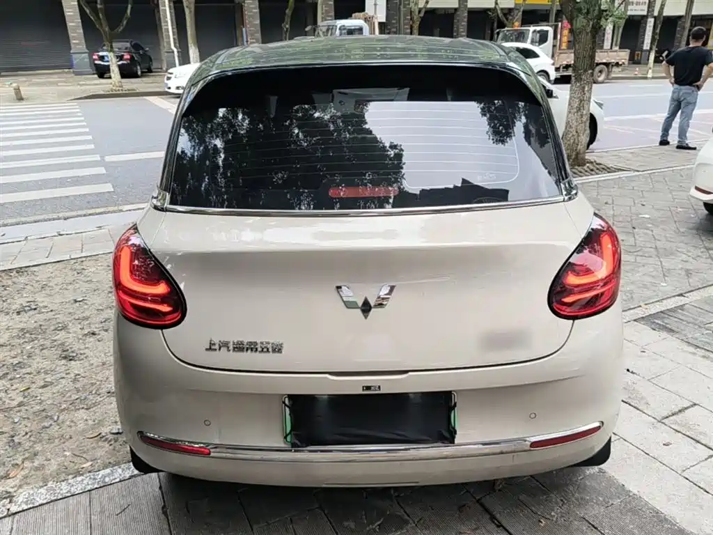 Wuling Binguo 2024 333km