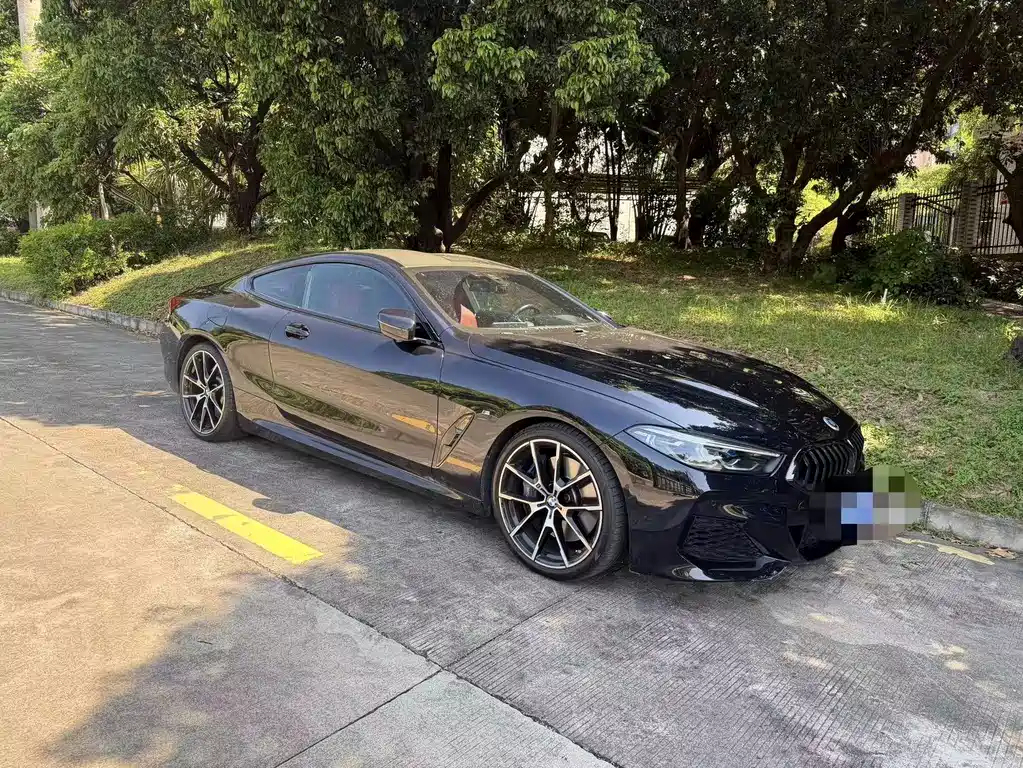BMW 8 Series — миниатюра 6