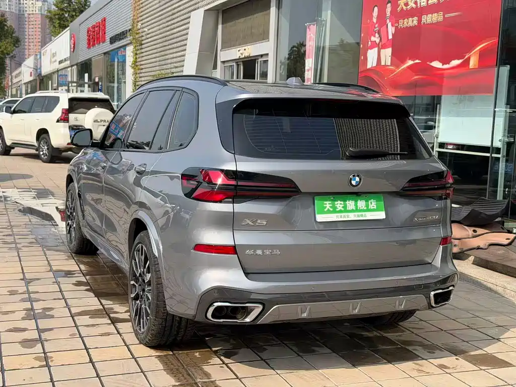 BMW X5 — миниатюра 19