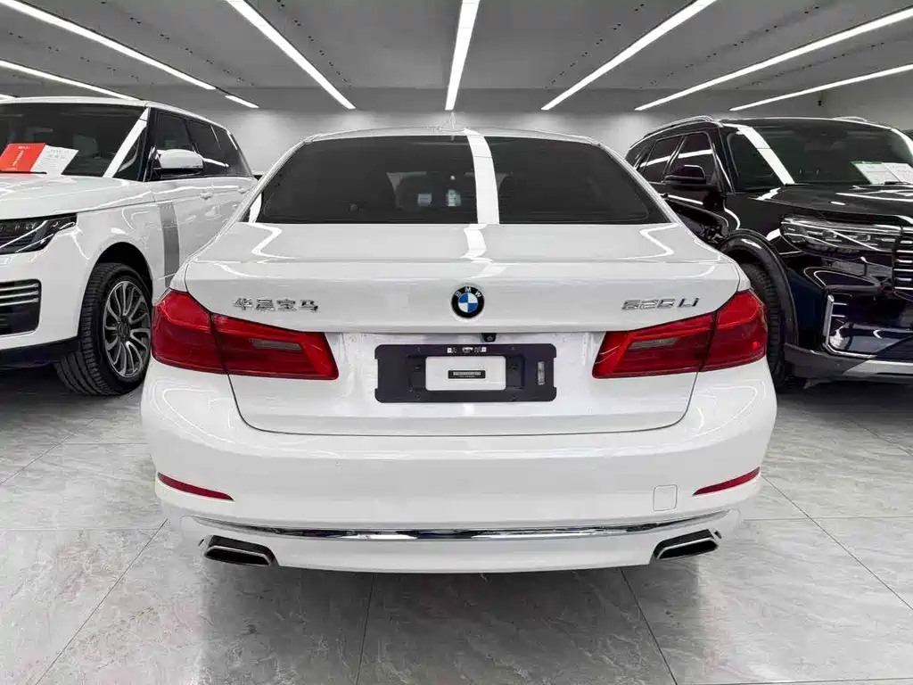 BMW 5 Series 5 2018 525Li Luxury