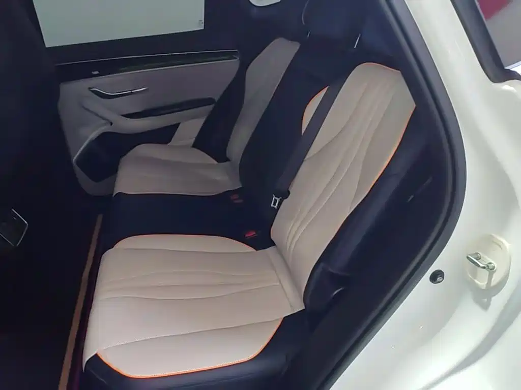 BYD PLUS New Energy — миниатюра 17