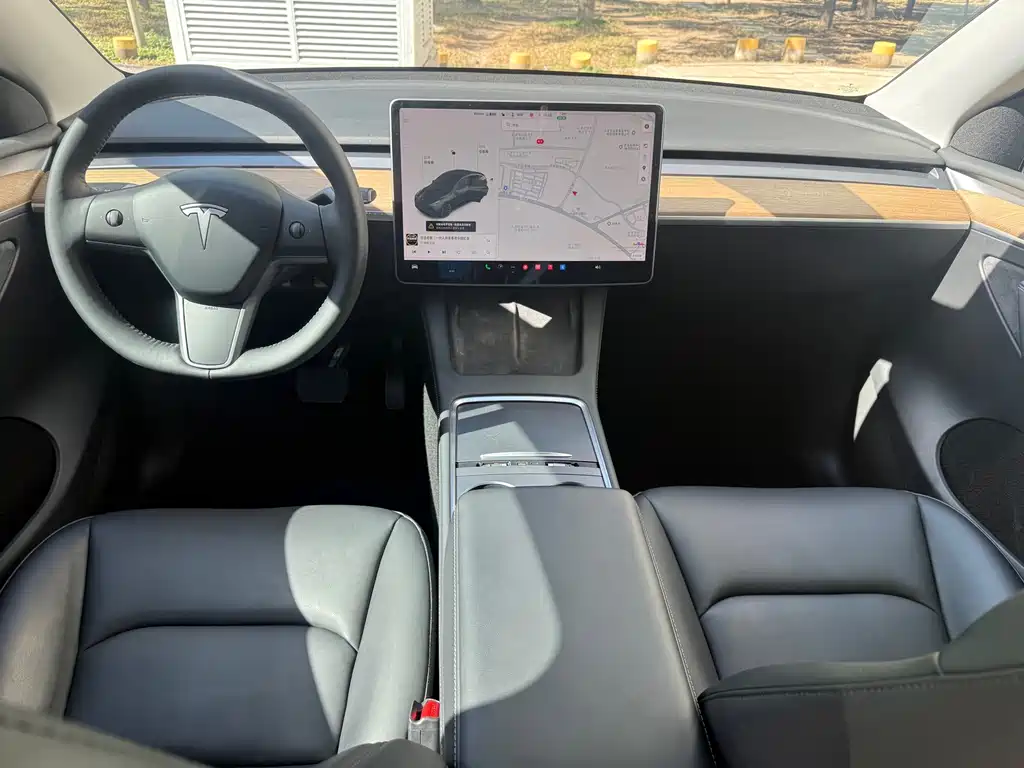 Tesla Model Y — миниатюра 10
