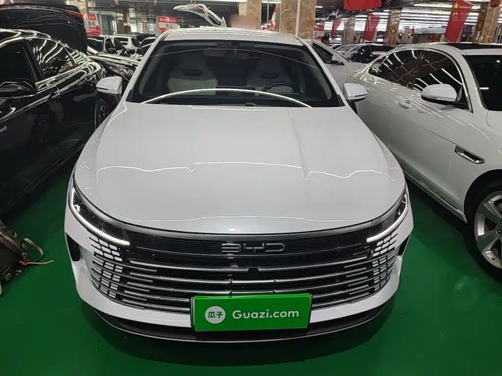 BYD Destroyer 05 — миниатюра 3