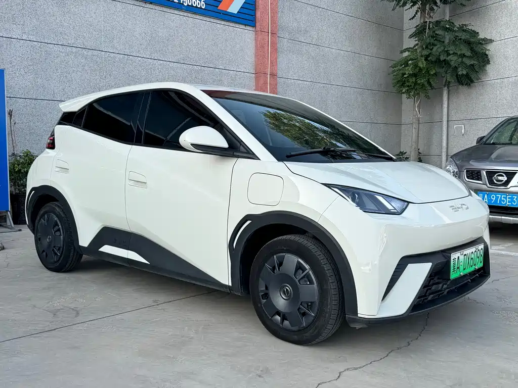 BYD Seagull 2024 305km Freedom