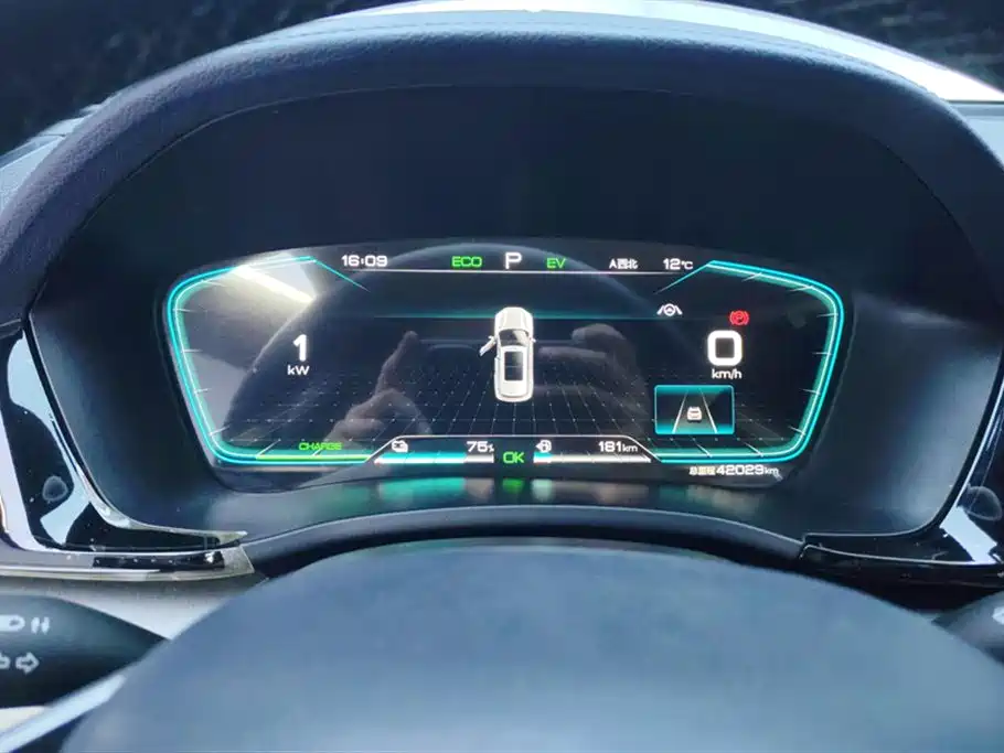 BYD SONGJIANG NEW ENERGY