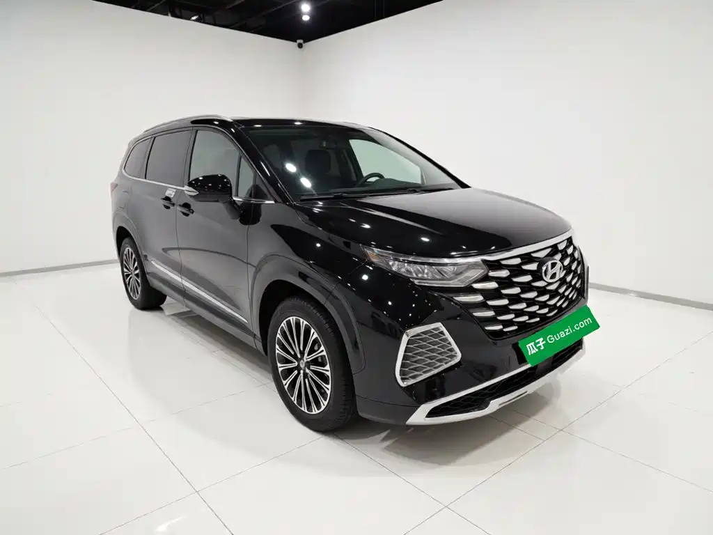 Hyundai Custo — миниатюра 3