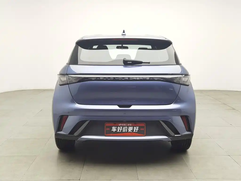 BYD Dolphin — миниатюра 4