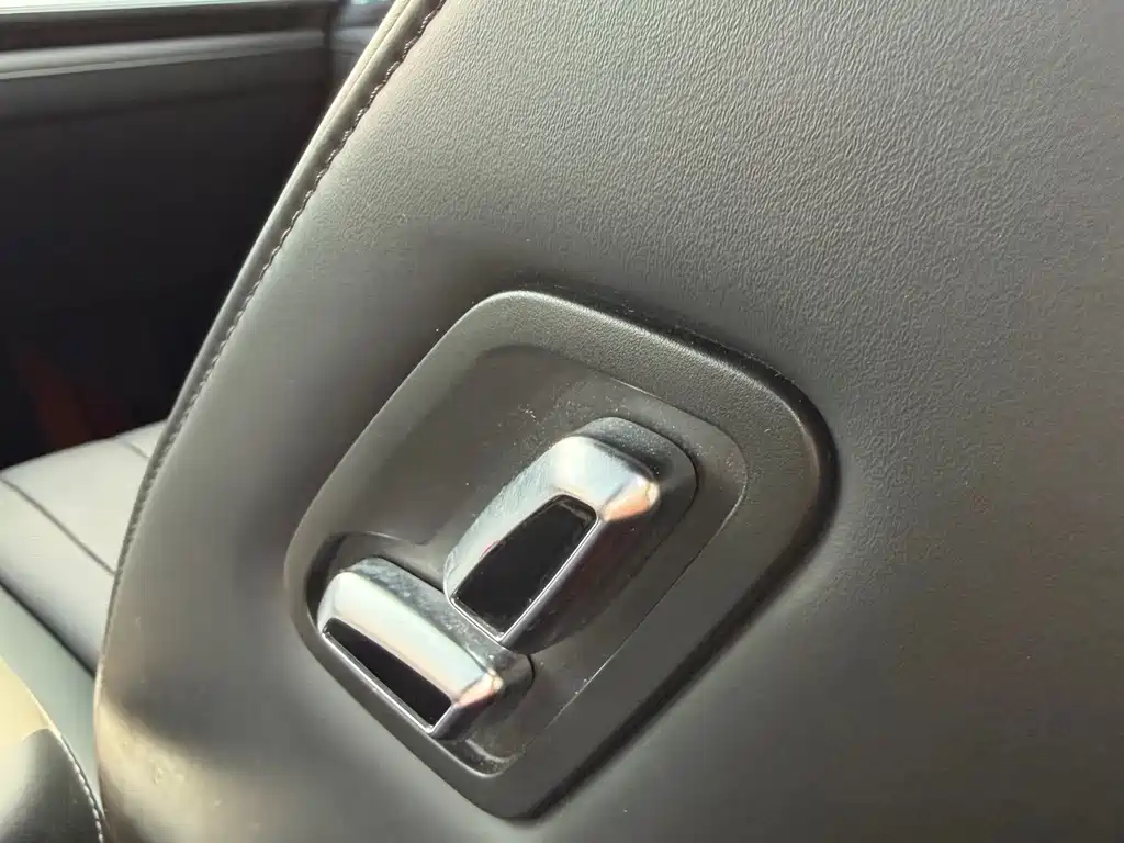 WEI PAI WEI BRAND BLUE MOUNTAIN