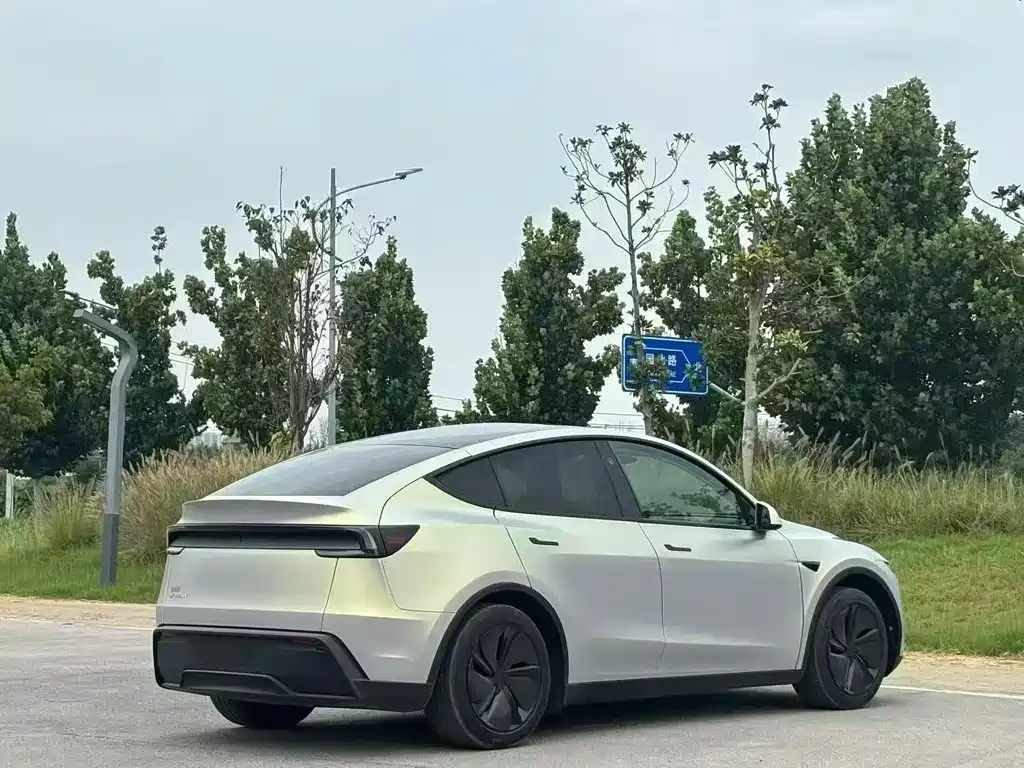 Tesla Model Y — миниатюра 7