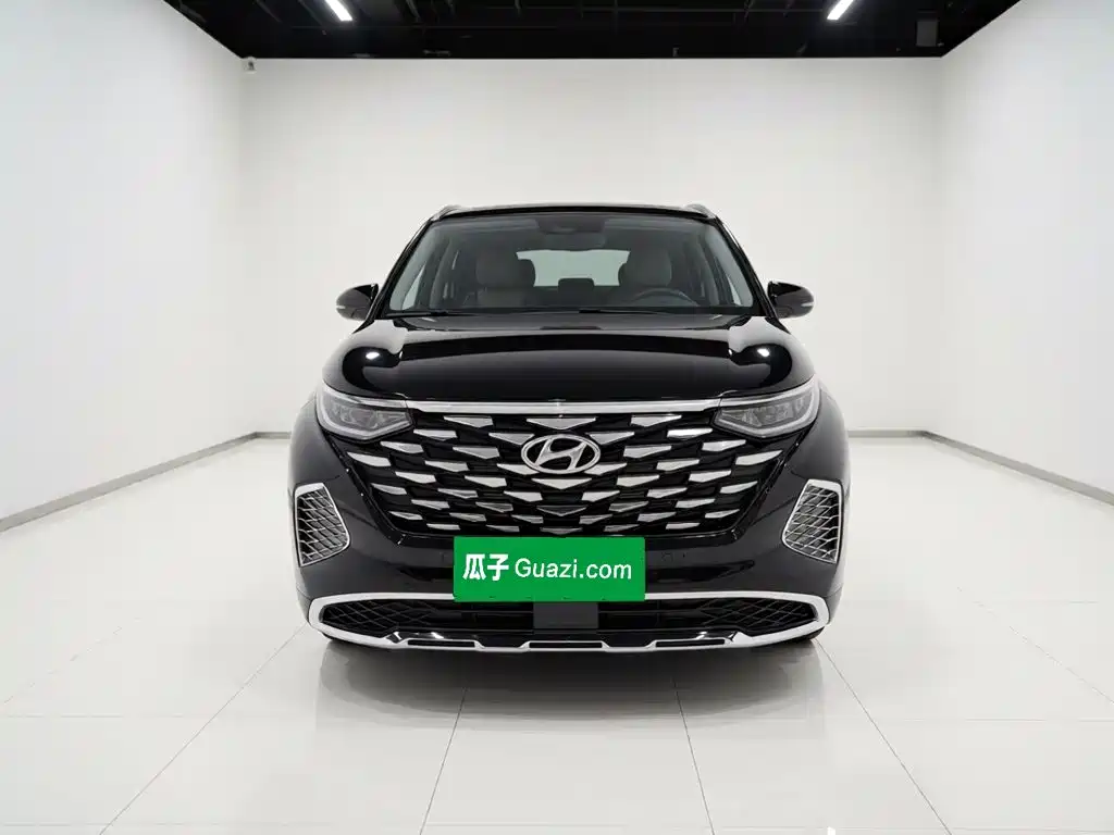 Hyundai Custo — миниатюра 2