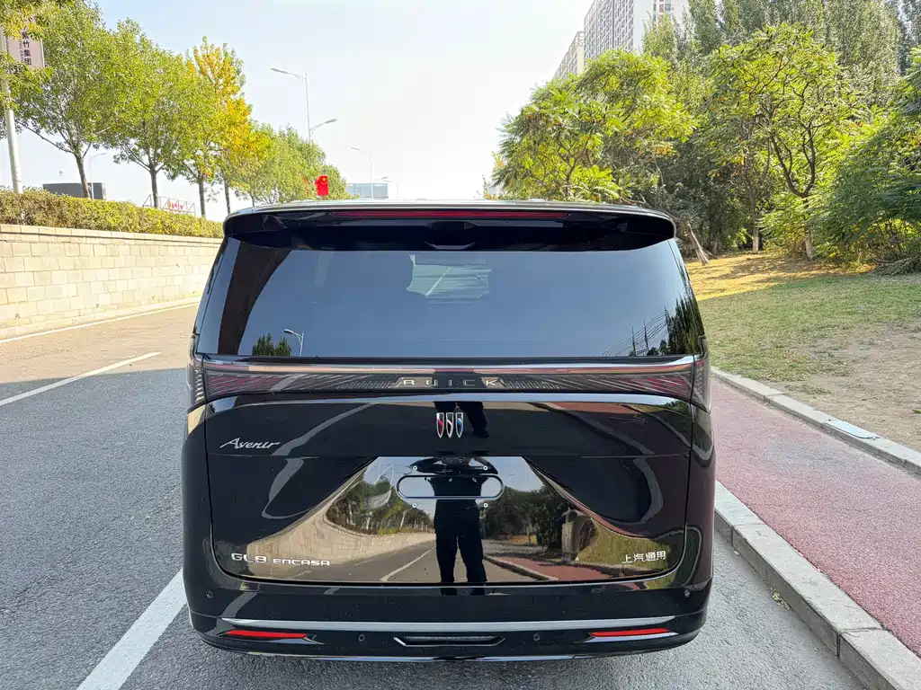 Buick Electra Encasa — миниатюра 5
